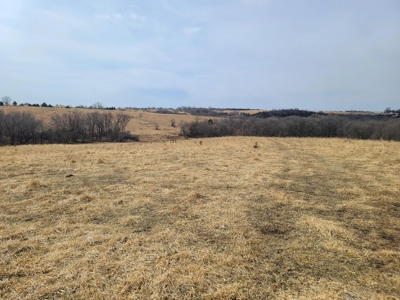 Land For Sale - image 23