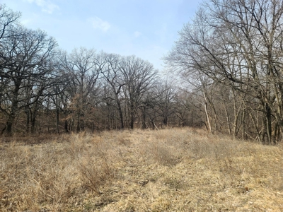 Land For Sale - image 29