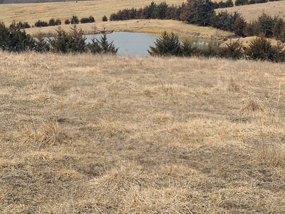 Land For Sale - image 19