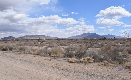 Vacant Land For sale - image 1
