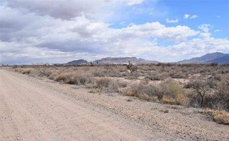 Vacant Land For sale - image 2