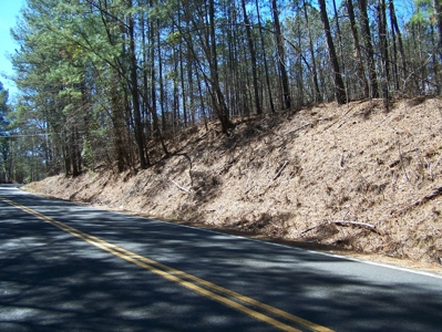 Five Wooded Lots Near Columbia, South Carolina - image 2