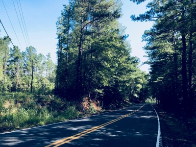 Five Wooded Lots Near Columbia, South Carolina - image 1