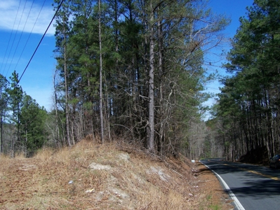 Five Wooded Lots Near Columbia, South Carolina - image 9