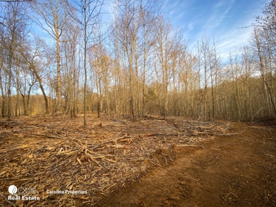 Development Property and Land For Sale Near High Rock Lake - image 4