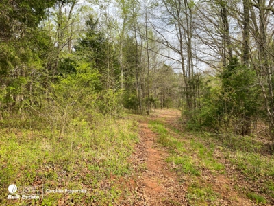 Development Property and Land For Sale Near High Rock Lake - image 33