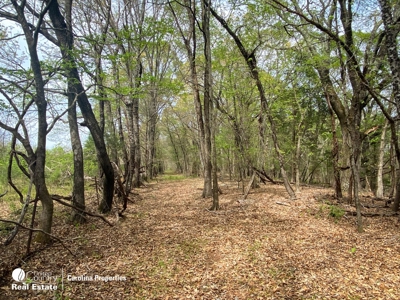 Development Property and Land For Sale Near High Rock Lake - image 10
