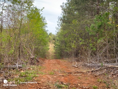 Development Property and Land For Sale Near High Rock Lake - image 39