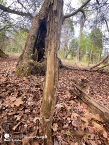 Development Property and Land For Sale Near High Rock Lake - image 35