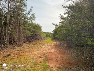 Development Property and Land For Sale Near High Rock Lake - image 37