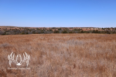 1,545 acres m/l. Roger Mills County Oklahoma Land For Sale - image 17