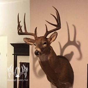 1,545 acres m/l. Roger Mills County Oklahoma Land For Sale - image 5