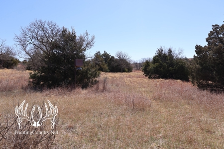 1,545 acres m/l. Roger Mills County Oklahoma Land For Sale - image 14