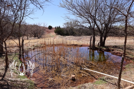 1,545 acres m/l. Roger Mills County Oklahoma Land For Sale - image 45