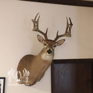 1,545 acres m/l. Roger Mills County Oklahoma Land For Sale - image 4