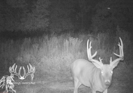 1,545 acres m/l. Roger Mills County Oklahoma Land For Sale - image 2