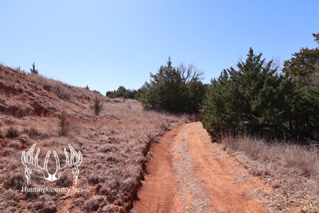 1,545 acres m/l. Roger Mills County Oklahoma Land For Sale - image 24