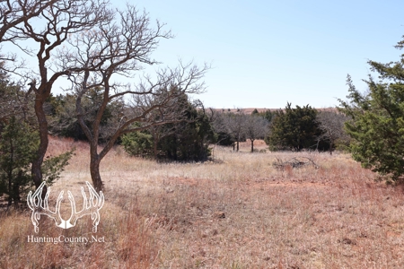 1,545 acres m/l. Roger Mills County Oklahoma Land For Sale - image 13