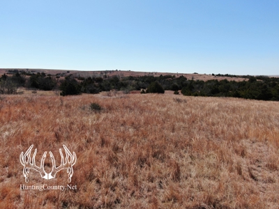 1,545 acres m/l. Roger Mills County Oklahoma Land For Sale - image 33