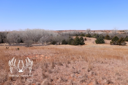 1,545 acres m/l. Roger Mills County Oklahoma Land For Sale - image 18