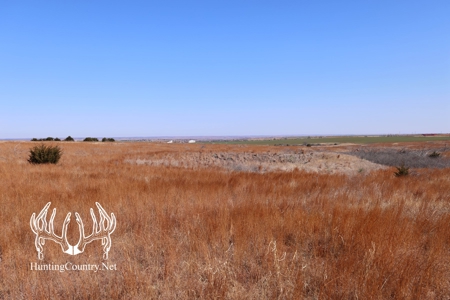 1,545 acres m/l. Roger Mills County Oklahoma Land For Sale - image 7