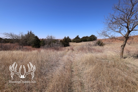 1,545 acres m/l. Roger Mills County Oklahoma Land For Sale - image 12