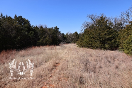 1,545 acres m/l. Roger Mills County Oklahoma Land For Sale - image 15