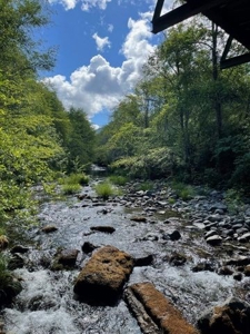 43 acres-2 dwellings in beautiful Sunny Valley-Southern Or. - image 44