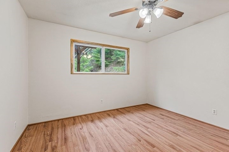 43 acres-2 dwellings in beautiful Sunny Valley-Southern Or. - image 39