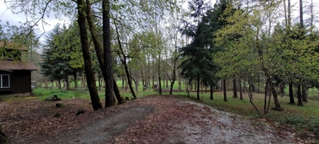 43 acres-2 dwellings in beautiful Sunny Valley-Southern Or. - image 31