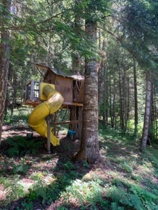 43 acres-2 dwellings in beautiful Sunny Valley-Southern Or. - image 30