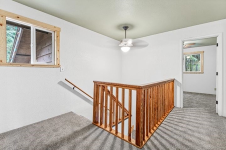 43 acres-2 dwellings in beautiful Sunny Valley-Southern Or. - image 20