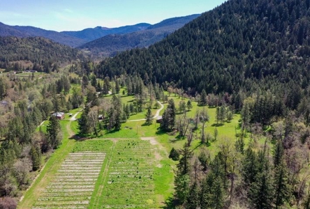 43 acres-2 dwellings in beautiful Sunny Valley-Southern Or. - image 49
