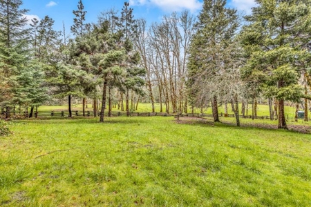 43 acres-2 dwellings in beautiful Sunny Valley-Southern Or. - image 46