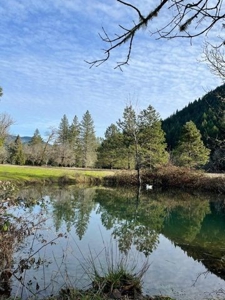 43 acres-2 dwellings in beautiful Sunny Valley-Southern Or. - image 47