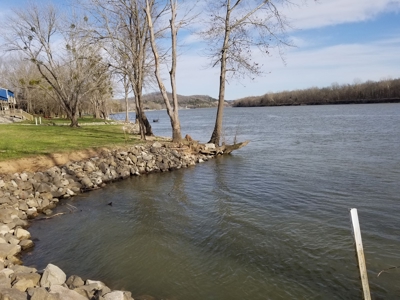 3 Tn Riverfront 150 Ft Plus 2 Lots For Sale Water Electric - image 2
