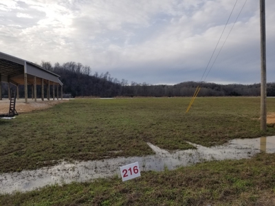 Tn River Front Lot For Sale Perry County Tn Linden Clifton - image 5