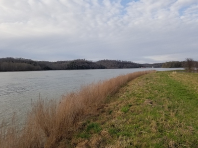 Tn River Front Lot For Sale Perry County Tn Linden Clifton - image 3