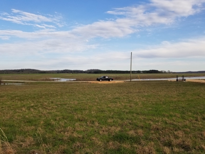 Tn River Front Lot For Sale Perry County Tn Linden Clifton - image 4