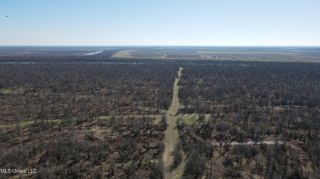 Ownership Share in Pittman-Hogue Island Hunting Club - image 37