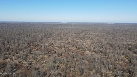 Ownership Share in Pittman-Hogue Island Hunting Club - image 30