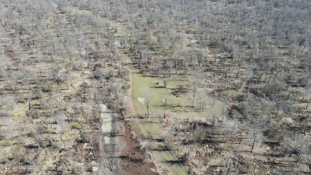 Ownership Share in Pittman-Hogue Island Hunting Club - image 36