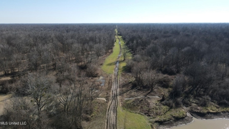 Ownership Share in Pittman-Hogue Island Hunting Club - image 26