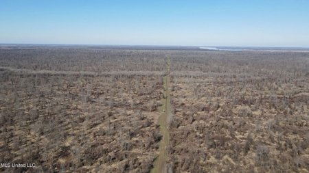 Ownership Share in Pittman-Hogue Island Hunting Club - image 38