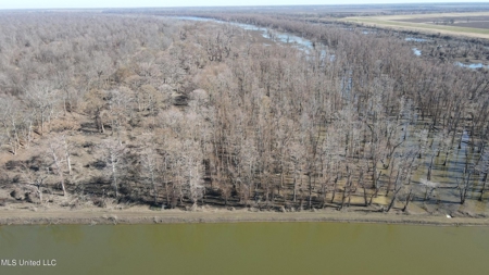 Ownership Share in Pittman-Hogue Island Hunting Club - image 29