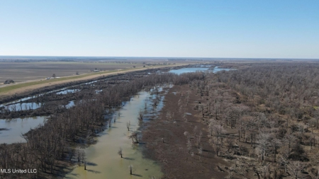 Ownership Share in Pittman-Hogue Island Hunting Club - image 39