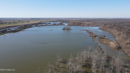 Ownership Share in Pittman-Hogue Island Hunting Club - image 25