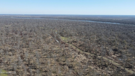 Ownership Share in Pittman-Hogue Island Hunting Club - image 35