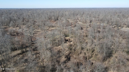 Ownership Share in Pittman-Hogue Island Hunting Club - image 31