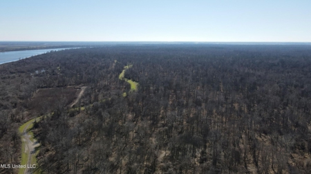 Ownership Share in Pittman-Hogue Island Hunting Club - image 24